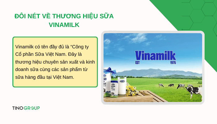 doi-net-ve-thuong-hieu-sua-vinamilk